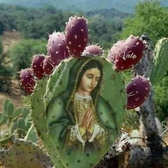rosariogonza232